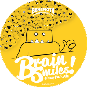 Brain Smiles Clone - 5.3 % Hazy - 21 lire batch - Now with more hops